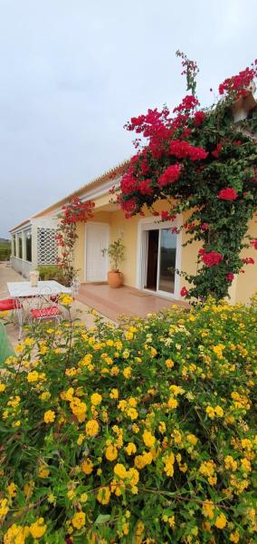 Studio with enclosed garden and wifi at Sagres, Sagres